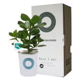Ogreen Clean Machine met persoonlijk kaartje Ogreen Clean Machine met persoonlijk kaartje